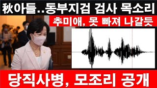 [추미애, 못 빠져 나갈 듯] 추미애 아들 건..동부지검 검사 음성 파일 공개. 당직사병, 모조리 공개. [RNB, 레지스탕스TV, 정광용TV]