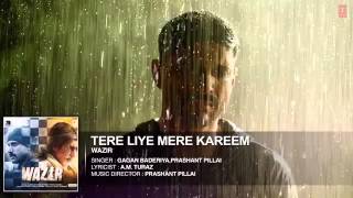 'TERE LIYE' Full Song (Audio) - Wazir - Farhan Akhtar, Amitabh Bachchan, Aditi Rao Hydar