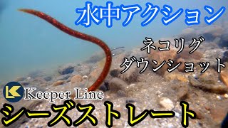 Keeper Line　シーズストレート水中アクション（ネコリグ、ダウンショットワッキー）