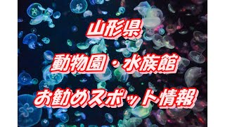 【山形県】動物園・水族館情報3スポット