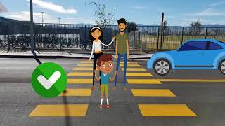 Pedestrian Crosswalk Safety