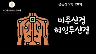 【531회】박효신의 숨을 부르다간 숨넘어간다 추체외로① 3-9 (교재 p89)15년 건강운동관리사 병태생리학