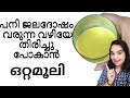 Most Effective Traditional Remedy For Cold & Fever | The Veggie Pooja