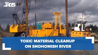 Toxic material cleanup on Snohomish River