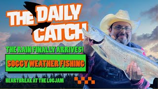 Daily Catch FRIDAY J31