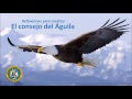 El consejo del Águila - Historias para Reflexionar