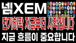 넴XEM _ 코인전망 드디어 터진다. 1분전 긴급속보 이제부터 시작입니다. 넴XEM #넴XEM목표가