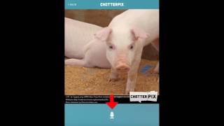 Chatterpix Tutorial