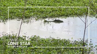 What'd the Houston area look like before settlers? Explore this Hidden Gem to find out.