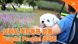 [시민기자뉴스] 보랏빛 맥문동과 함께 ‘Purple! People! 음악회’