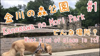 『金川の森公園』犬と散歩！入り口付近。