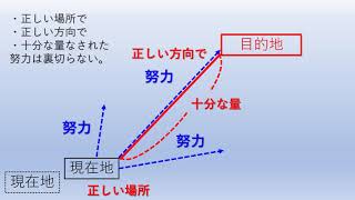 林修の名言『努力は裏切らないという言葉は不正確だ。  正しい場所で、正しい方向で、十分な量なされた努力は裏切らない』