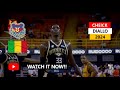 🇲🇱 Cheick Diallo(체이크 디알로) ✭ Osos de Manati ✭ 2024 Best Plays&Highlights