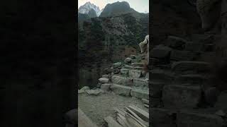 Yaks coming Down From Ondra#hunza #bull #mountainlife #foryou #animalslover #pamir #pamiryak#yakmeat