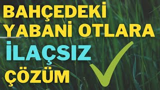 İLAÇSIZ YABANİ OT MÜCADELESİ %100 FAYDALI (ZARARSIZ) SONUÇ