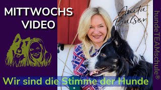 Mittwochsvideo - 23-07-26 Mittwochsvideo: Genetik + Unwissenheit + Vermenschlichung = ...