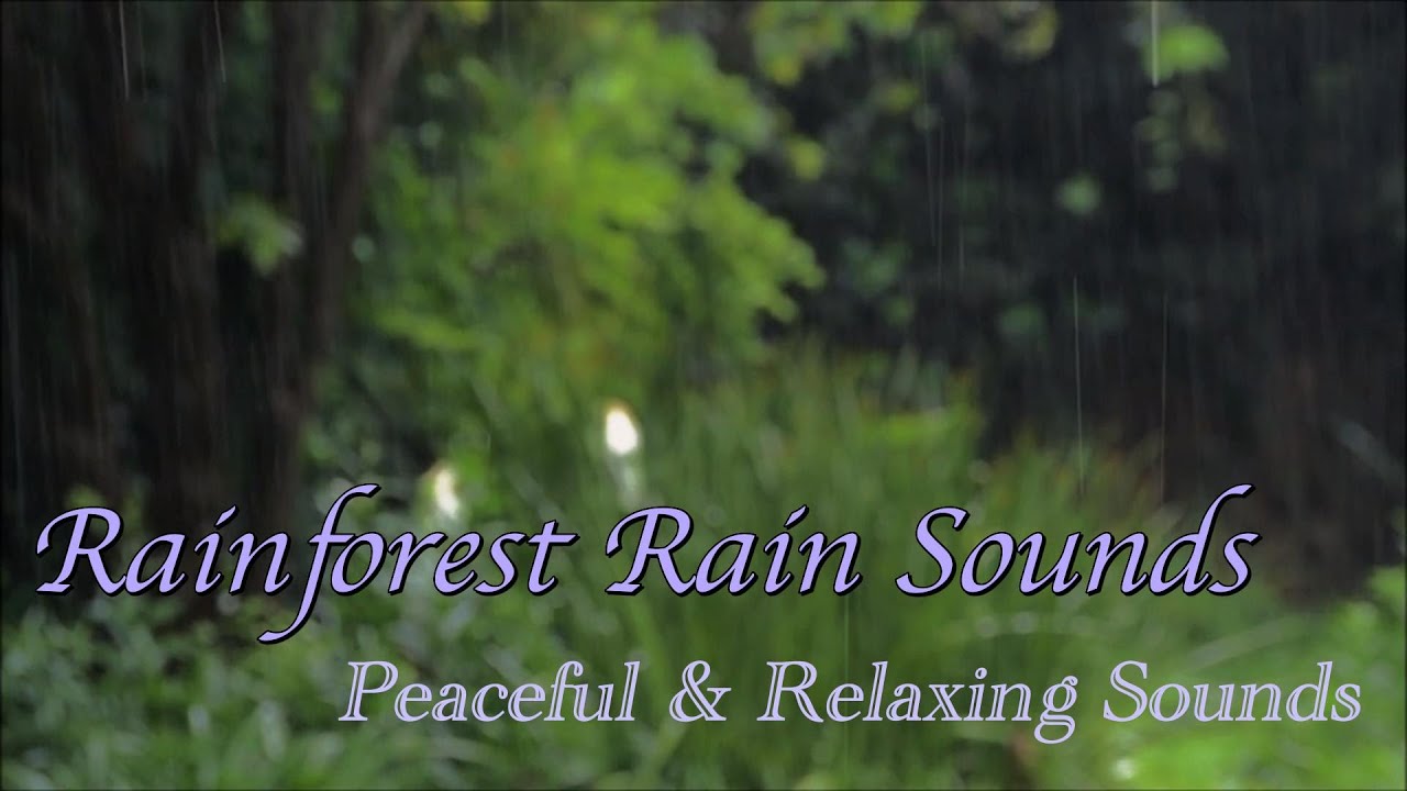 Relaxing Rainforest Sounds / Relaxation Sounds To Fall Asleep / Calming ...