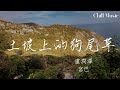 土坡上的狗尾草(雙語版)—盧潤澤 宮巴『自始至终全是你，让我投入太彻底』【動態歌詞MV】