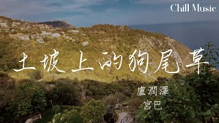 土坡上的狗尾草(雙語版)—盧潤澤 宮巴『自始至终全是你，让我投入太彻底』【動態歌詞MV】