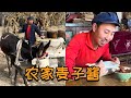 【农家小麦酱】用小麦做麦酱,古法还原一下做法,原汁原味#记录我的农村生活  #怀旧美好时光 #农家酱 #手工制作