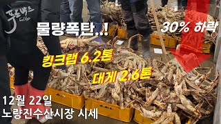 [최신시세정보] 킹크랩 물량폭탄  예년대비 30% 가격하락~ 12월 22일 노량진 수산시장