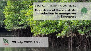 NParks OneMillionTrees Webinar | Guardians of the coast: An introduction to mangroves in Singapore