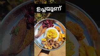 ഇന്നത്തെ ഉച്ചയൂണ് #subscribe #adamvibes1 #food #lunch #youtubeshorts #uchayoonu #shortvideo #shorts