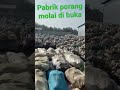 pabrik porang molai di buka