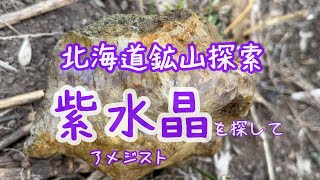 北海道の鉱山跡地で紫水晶（アメジスト原石）を探しました