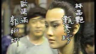 1984 中視 天涯女兒心 甄秀珍 樊日行 郭研研 沈海蓉 謝屏楠 徐貴櫻 周麟 王筱嬋 魏平澳 趙學煌 鄭亞雲 劉引商