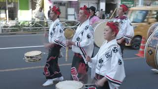 阿波踊り 浅草雷連と総踊り 曳舟川通り