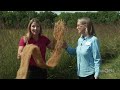 prairies and the environment find iowa