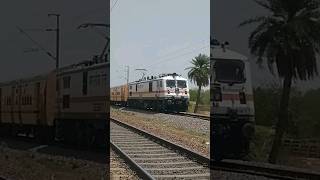 InterCity Express #indianrailway #intercityexpress #viralvideo #shorts