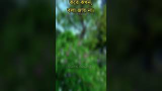 রোজায় বেশি বেশি পড়ুন || আশা করি ঠকবেন না ইনশাহ আল্লাহ || আল্লাহুম মাগফিরলী আস্তাগফিরুল্লাহ