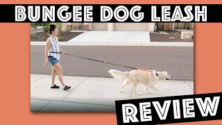 Winkeyes Bungee Dog Leash Review