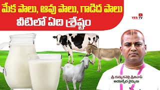 మేక, ఆవు, గాడిద పాలు వీటిలో ఏది శ్రేష్టం||which Milk is Better Goat||Cow||Donkey||Nelg|| Yes Tv