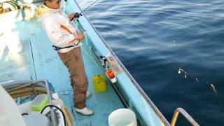 三陸釜石釣り船豊海丸カレイ釣り出船6月17日船上配信です