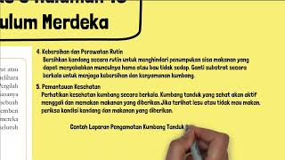 Carilah Artikel Atau Sumber yang Berhubungan dengan Cara Merawat Atau Memelihara Serangga