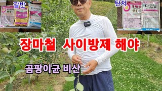 22년 장마철 갈색무늬병 및 탄저병예방 사이방제 해야