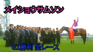 メイショウサムソン　G1勝利　全レース