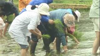 要ファームの自然学校・初夏編 田植え体験／ポラン広場東京 イベント