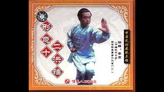 Shang style Xing Yi. 12 Hong Chui (Hammer Fist)