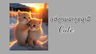 ចង់ក្លាយជាកូនឆ្មាដ៏cute សេរីវង្សftmama Lyrics