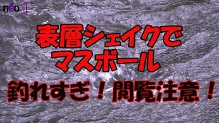 釣れすぎ！パラダイス！閲覧注意！是非体験してください！