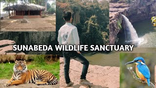 Sunabeda Wildlife Sanctuary  ||Beniadhas Waterfall ||Odisha Tourism ||NUAPADA ||BEST PICNIC SPOT ||