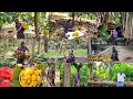 ஒரு வானவில்லின் பக்கத்திலே வாழ்ந்து பாா்க்கிறேன் நானே🌿Jackfruit ,Red banana and papaya harvesting🌳🍌