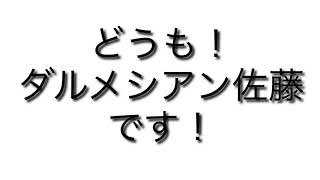 【とび森】プレゼント企画第1弾！概要欄みてね