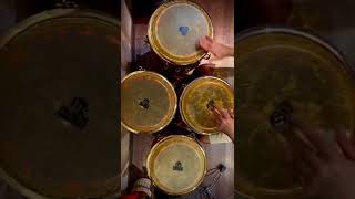 play with (four 4) congas/Katy Perry/Harleys in Howaii /SAEED SAREMI (percussionist)