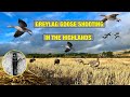 Decoying Geese !!! Greylag Goose Shooting In The Highlands Of Scotland