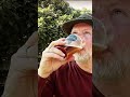 Paulaner Oktoberfest Beer 2022 Revisit Cheap Brew Review Chug shorts